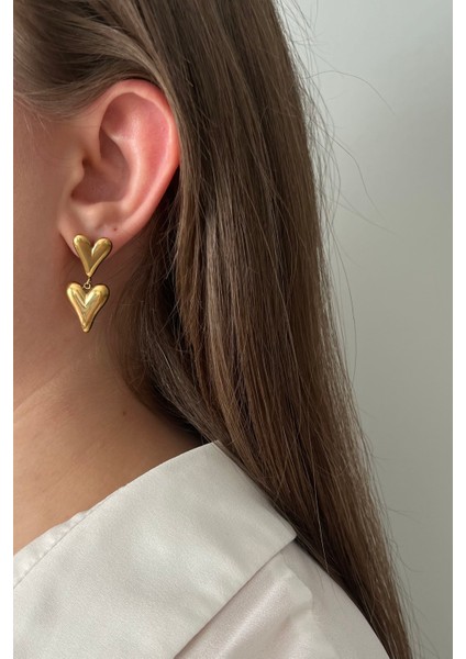 316L Paslanmaz Çelik Çift Kalp Sallantılı Küpe