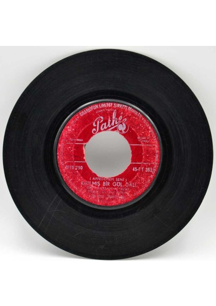 Sevim Tanürek -Hançeri Aşkınla Ey Yar (Y)PLK1869 fiyatları