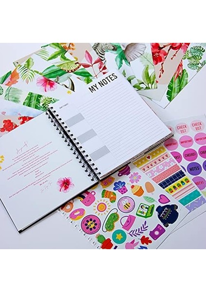 Juno Smart / modelleri