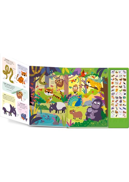 Seslerin Gücü: Haydi Kükreyelim! - Hayvanlar Hakkında İlginç Bilgiler (Dev Boyut Sesli Kitap + 50'den Fazla Hayvan Sesi) fırsatları