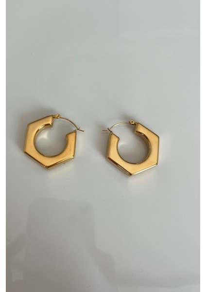 Paslanmaz Çelik Altıgen Kalın Halka Küpe fiyatları