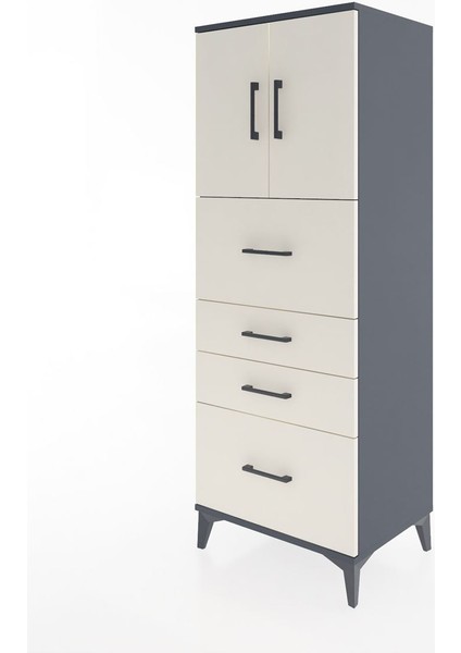 Hyperion Dolap 2 Raflı 4 Çekmeceli 2 Kapaklı 60X44X163 Antrasit-Aytaşı modelleri