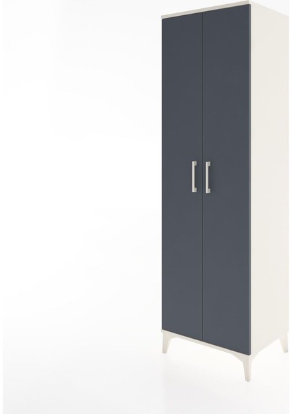 Hyperion Dolap 3 Raflı 2 Kapaklı Tek Askılı 60X44X195 Aytaşı-Antrasit modelleri