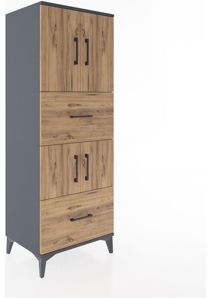 Hyperion Dolap 3 Raflı 2 Çekmeceli 4 Kapaklı 60X44X163 Antrasit-Çam fiyatları