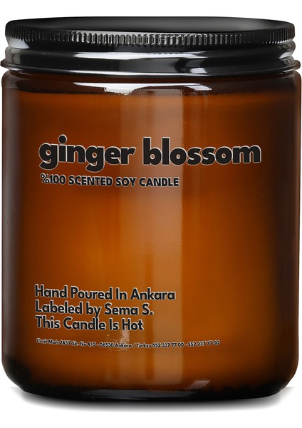 : Ginger Blossom : Amber Cam Kavanozda : Kokulu Soya Mum (Zencefil Çiçeği, Papatya, Lavanta, Gül) fiyatları