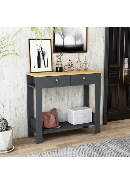 Sindy Çift Çekmeceli Metal Gold Kulp Dresuar