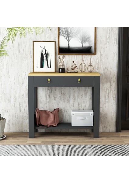 Sindy Çift Çekmeceli Metal Gold Kulp Dresuar fiyatları