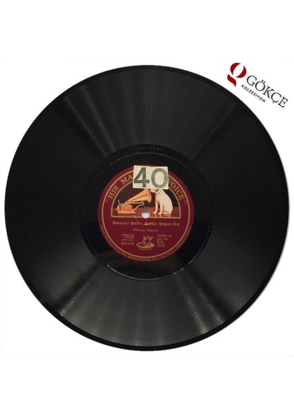 Fikriye Hanım - Ben Miyim Yalnız Hayran Taş Plak 1010 Çil (Y)PLK1287 fiyatları