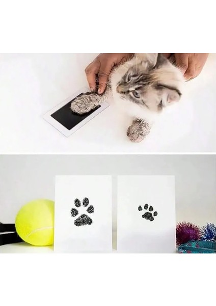 Kedi ve Köpek Pati Izi