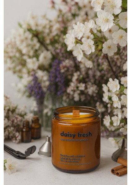 : Daisy Fresh : Amber Cam Kavanozda : Kokulu Soya Mum (Çiçek Özleri, Pudra, Lavanta, Ylang Ylang)