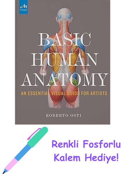 Basic Human Anatomy: An Essential Visual Guide For Artists + Fosforlu Kalem Hediye