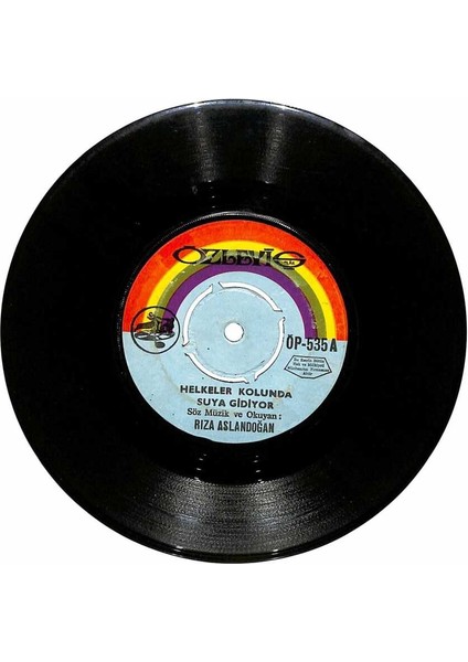 Rıza Aslandoğan - Helkeler Kolunda Suya Gidiyor Yarim Olurmuydun Sen Plak (107) PLK20692