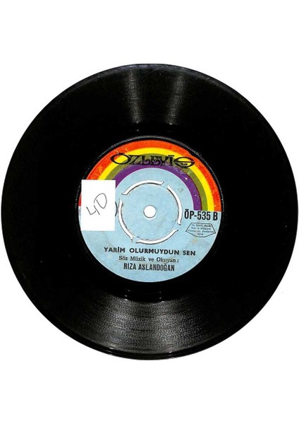 Rıza Aslandoğan - Helkeler Kolunda Suya Gidiyor Yarim Olurmuydun Sen Plak (107) PLK20692 fiyatları