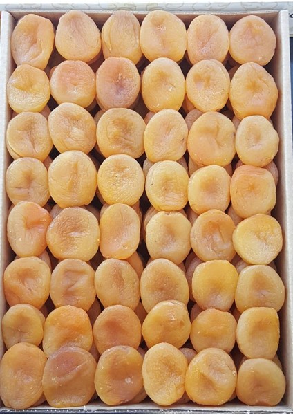 Ekstra Jumbo Sarı Kayısı Özel Dizim 10KG fiyatları