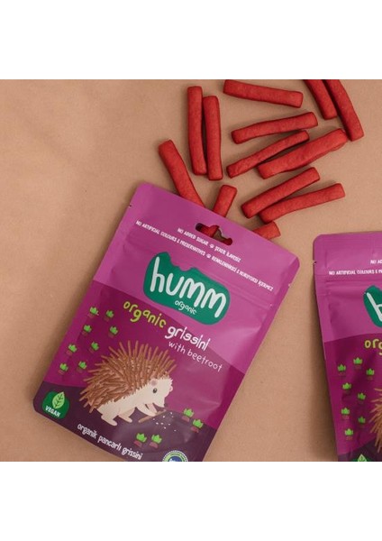 Humm Organik Vegan Pancarlı Grissini 55 gr modelleri