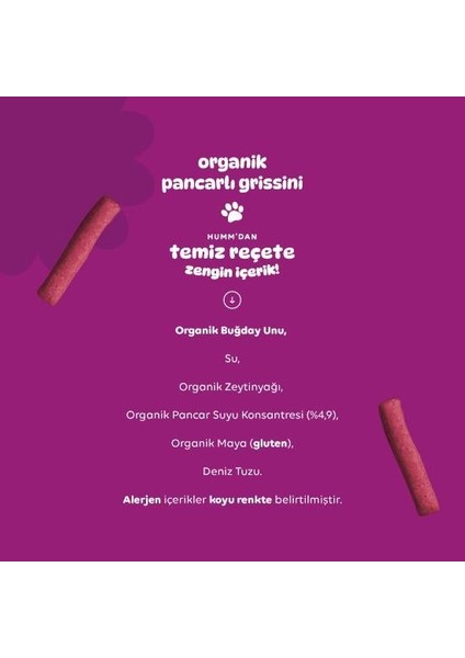 Humm Organik Vegan Pancarlı Grissini 55 gr fırsatları