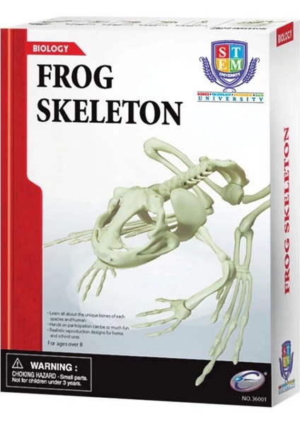 Kurbağa Iskeleti Bilim Seti fiyatları