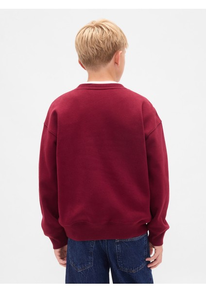 Erkek Çocuk Kırmızı Vintagesoft Relaxed Bisiklet Yaka Sweatshirt indirimleri