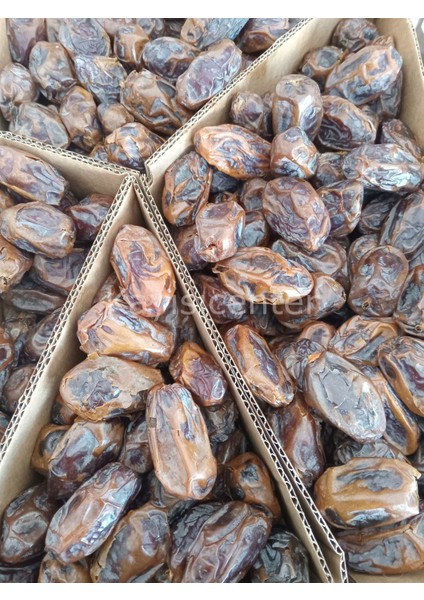 Kudüs Medjoul Ekonomik Hurma 10 kg fiyatları