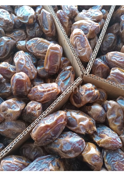 Kudüs Medjoul Ekonomik Hurma 10 kg