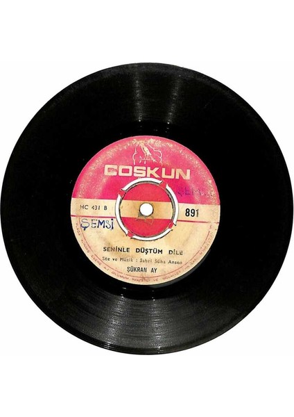 Şükran Ay - Zalimin Zulmü Varsa Mazlumun Allahı Var Seninle Düştüm Dile Plak (106) PLK20816 fiyatları