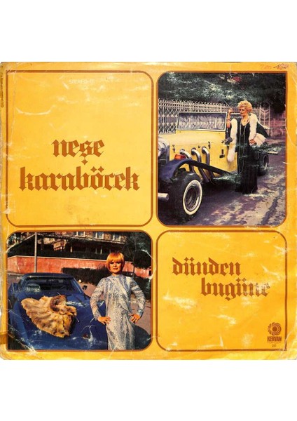Neşe Karaböcek (1977) – Dünden Bugüne Lp (107.5) PLK20429