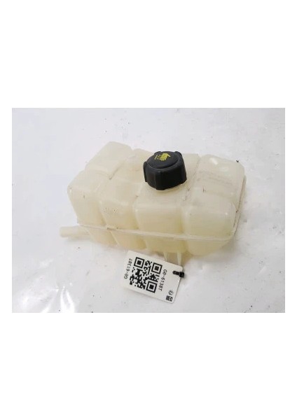 GENLESME KAVANOZU YENI KANGOO MEGANE 4 217108467R