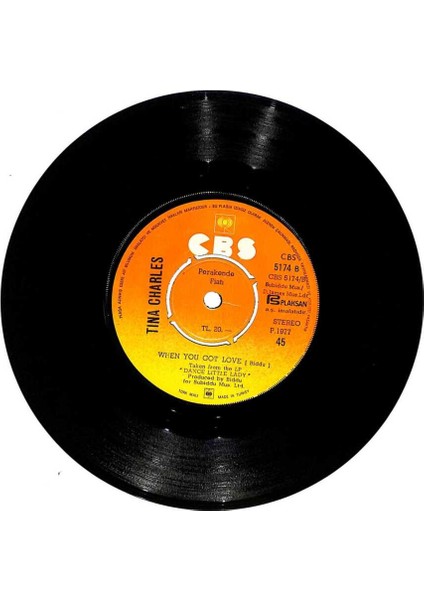 Tina Charles - Rendezvous - When You Got Love (107.5) PLK16516 fiyatları