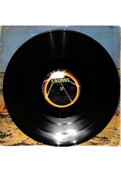Hot R.s. – House Of The Rising Sun (1977 - Türkiye) Lp fiyatları