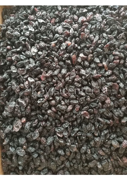 Kilis Karası Üzüm 10 kg fırsatları