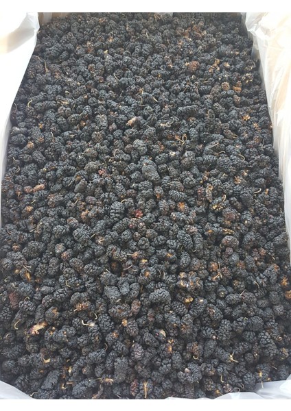 Karadut Kurusu 10 kg