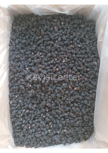 Karadut Kurusu 10 kg fiyatları