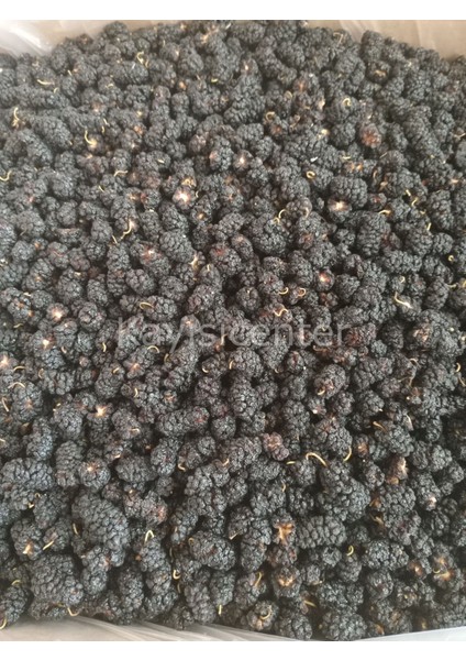 Karadut Kurusu 10 kg modelleri