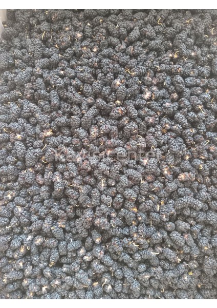 Karadut Kurusu 10 kg indirimleri