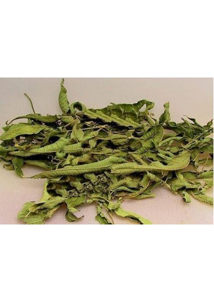 Melisa Limon Kültür Nakliye Hariç 250 gr