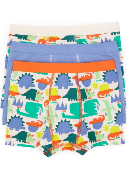 Erkek Çocuk Mavi Iç Giyim Alt 50319387-VR036