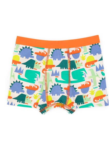 Erkek Çocuk Mavi Iç Giyim Alt 50319387-VR036 fiyatları