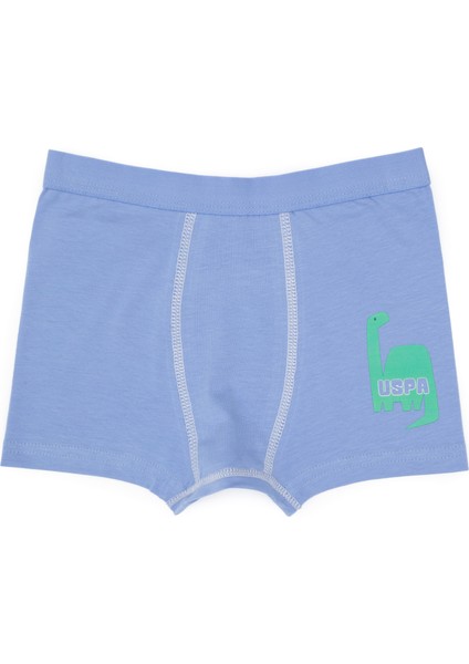 Erkek Çocuk Mavi Iç Giyim Alt 50319387-VR036 modelleri