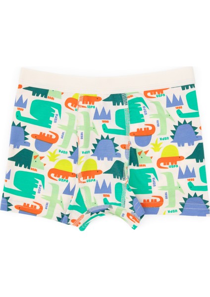 Erkek Çocuk Mavi Iç Giyim Alt 50319387-VR036 fırsatları