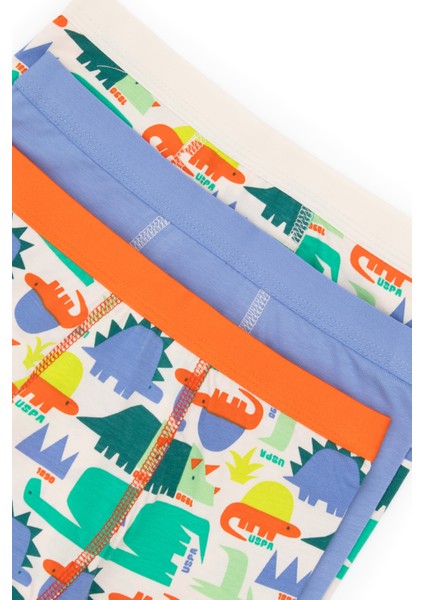 Erkek Çocuk Mavi Iç Giyim Alt 50319387-VR036 indirimleri