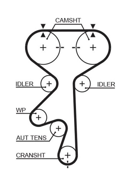 TRİGER KAYIŞI 169X240 169 DİŞ ASTRA F- VECTRA B 1996-2002 1.8 İ 165-2.0 İ 165 CT870 5636363