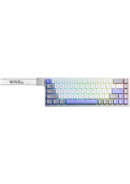 Aula WIN68 He Max Manyetik Klavye Trigger Wing Chun Switch 8000Hz Rgb Tkl Hot Swap Oyuncu Klavyesi Mavi modelleri