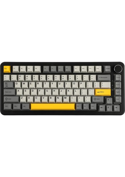 Ajazz AK820 Max He Hall Effect Manyetik Switch Kablolu Oyun Klavyesi 8000Hz Siyah Beyaz