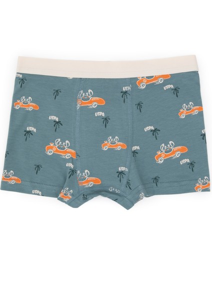 Erkek Çocuk Turuncu Iç Giyim Alt 50319395-VR051 modelleri