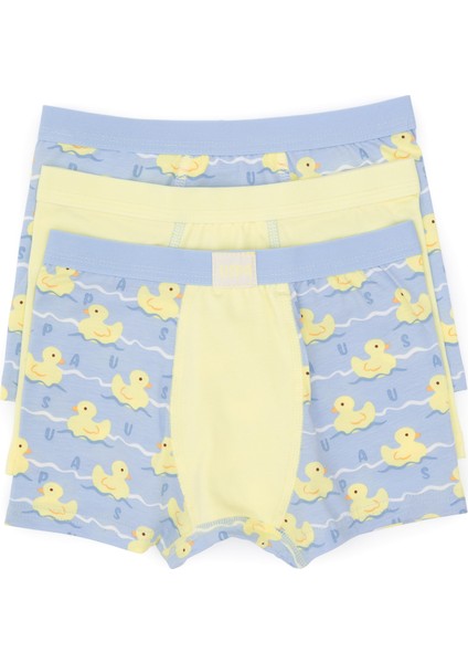 Erkek Çocuk Limon Iç Giyim Alt 50319389-VR035