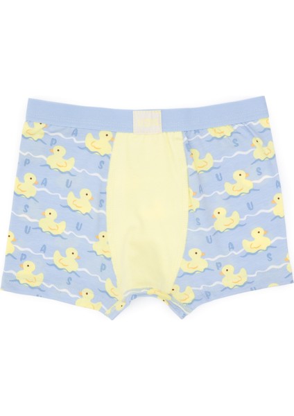 Erkek Çocuk Limon Iç Giyim Alt 50319389-VR035 fiyatları