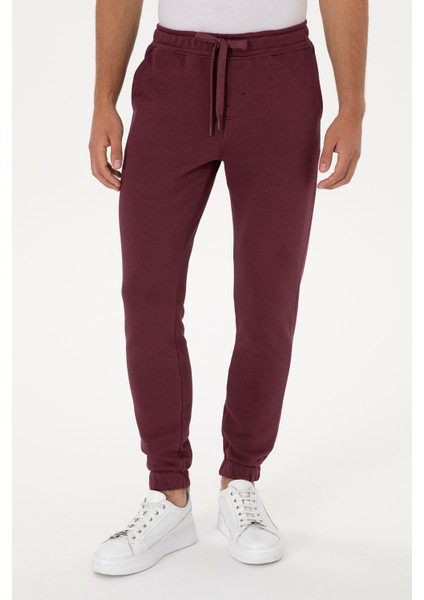 Erkek Plum Eşofman Altı 50315537-VR177 fiyatları