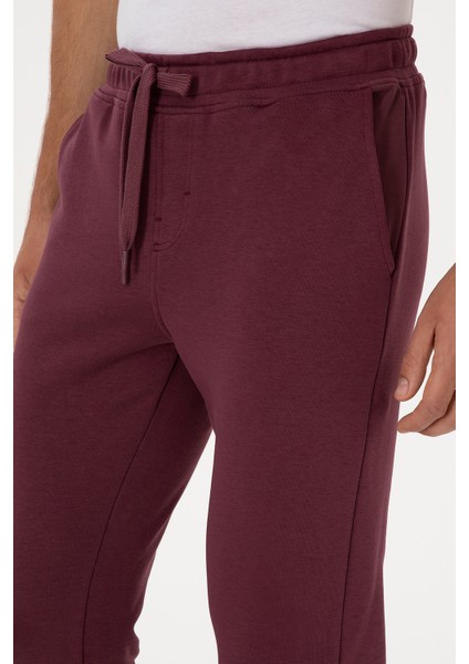 Erkek Plum Eşofman Altı 50315537-VR177 indirimleri