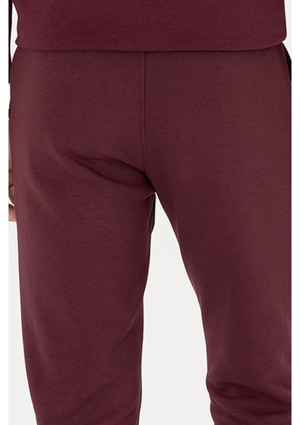 Erkek Plum Eşofman Altı 50315537-VR177