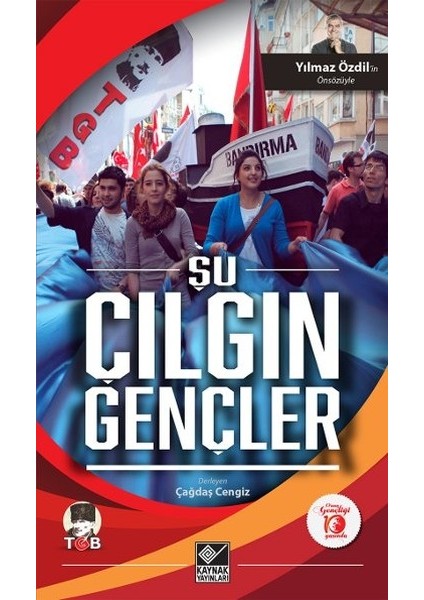 Şu Çılgın Gençler